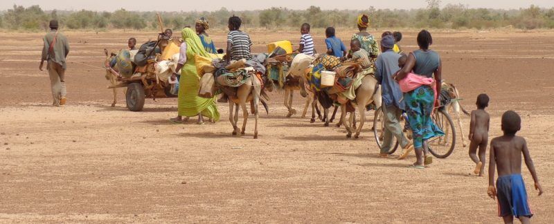 Gruppo di migranti africani in viaggio nel deserto